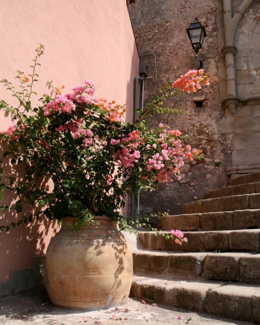 Цветы Италия Старинный Квартал Красиво