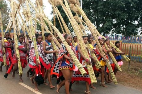 Свазиленд Женщины Мини-Юбки Танец Тростник